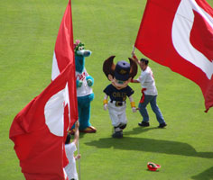 0610_27.jpg (15227 �o�C�g)